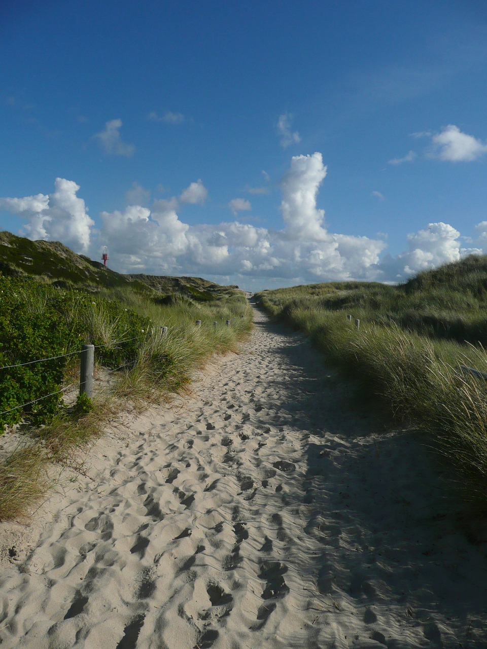 beach sand summer free photo