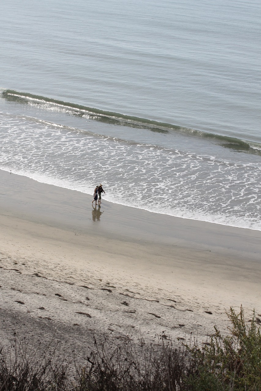 beach market san diego free photo