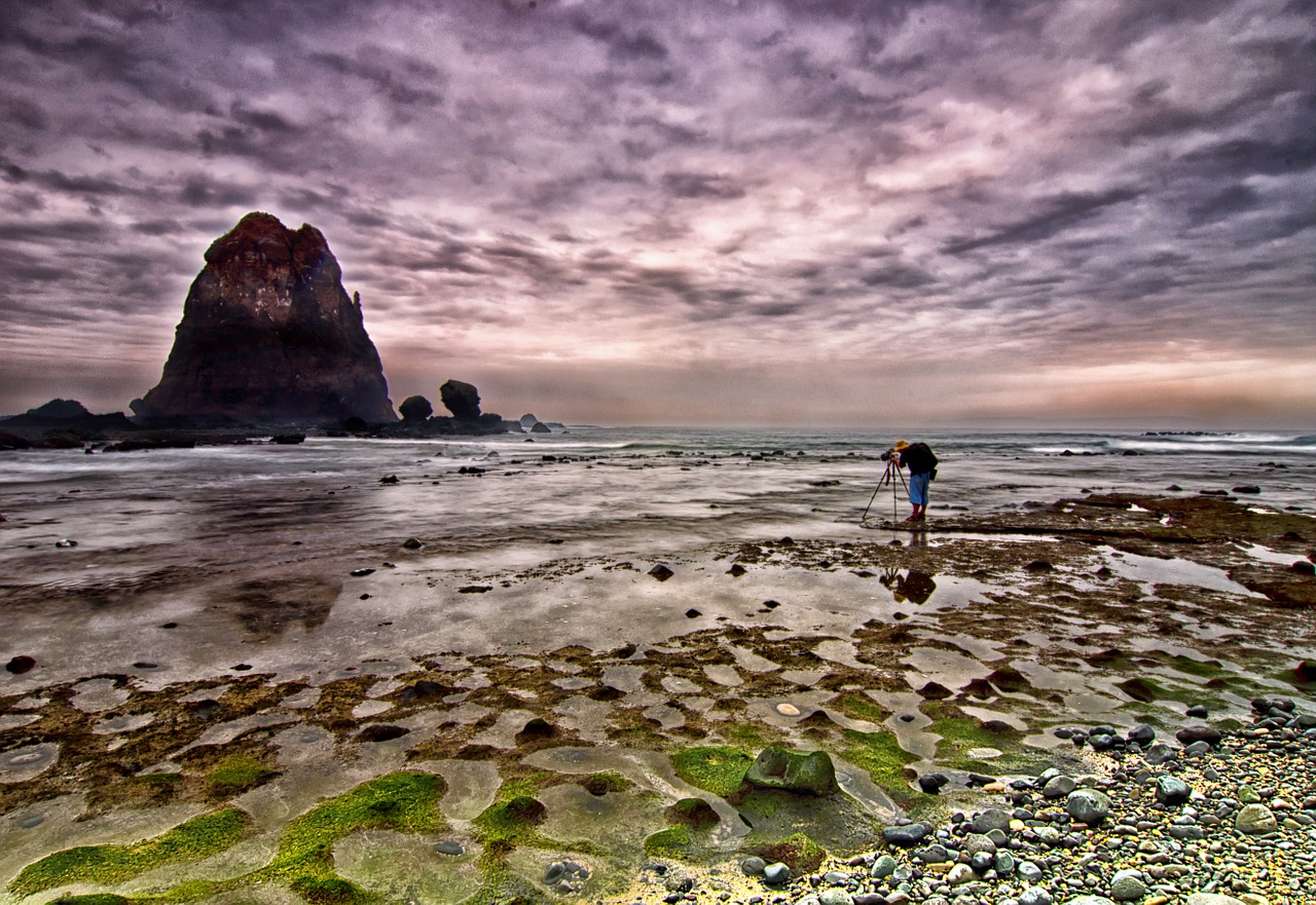 beach photographer sand free photo