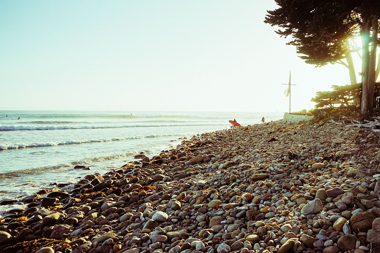 beach pebbles shore free photo