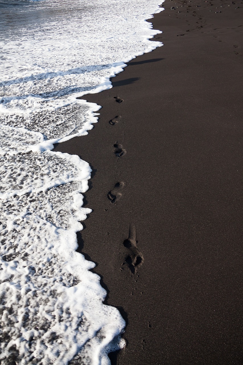 beach traces sand free photo