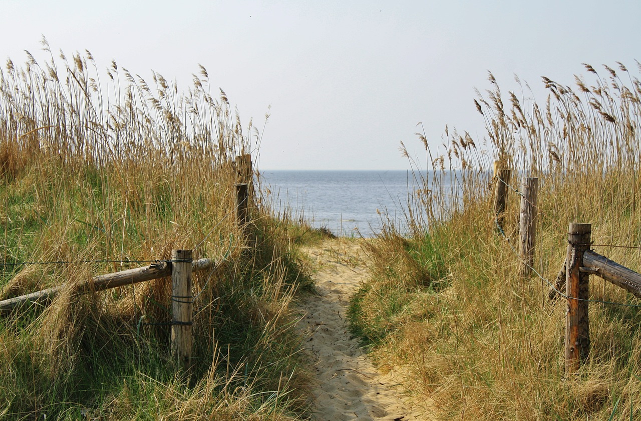 beach cuxhaven sand road free photo