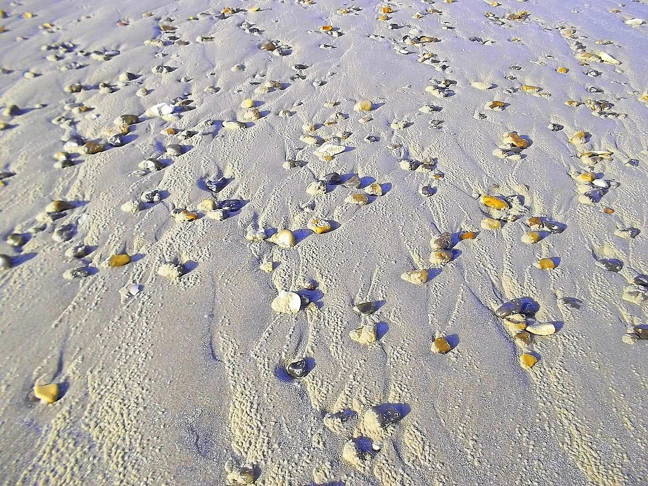 beach stones sand free photo