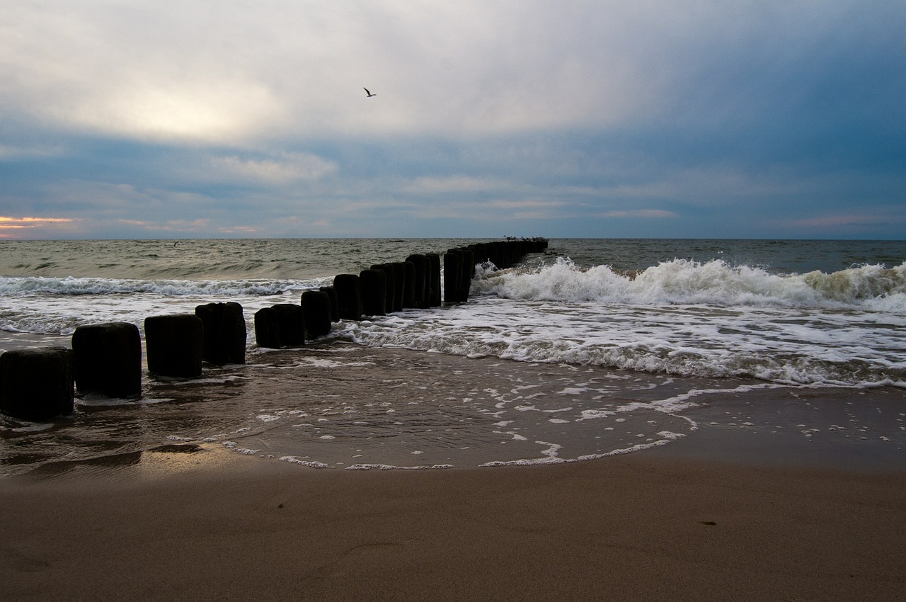 beach sea sand free photo