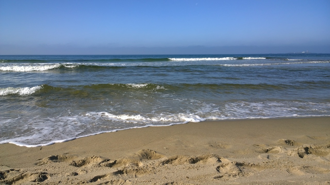 beach waves sea free photo