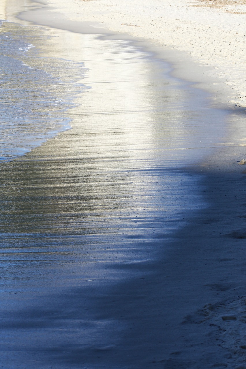 beach sea sand free photo