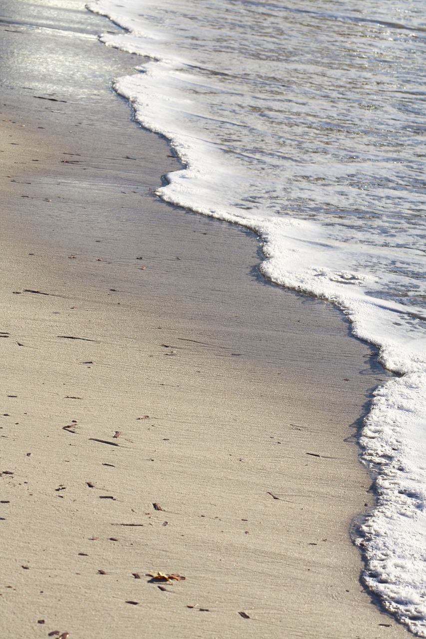 beach sea sand free photo