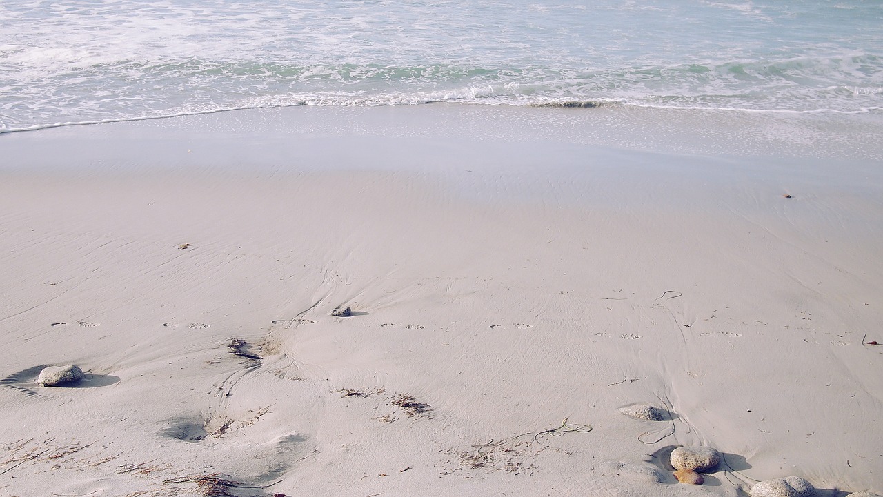 beach sea ocean free photo