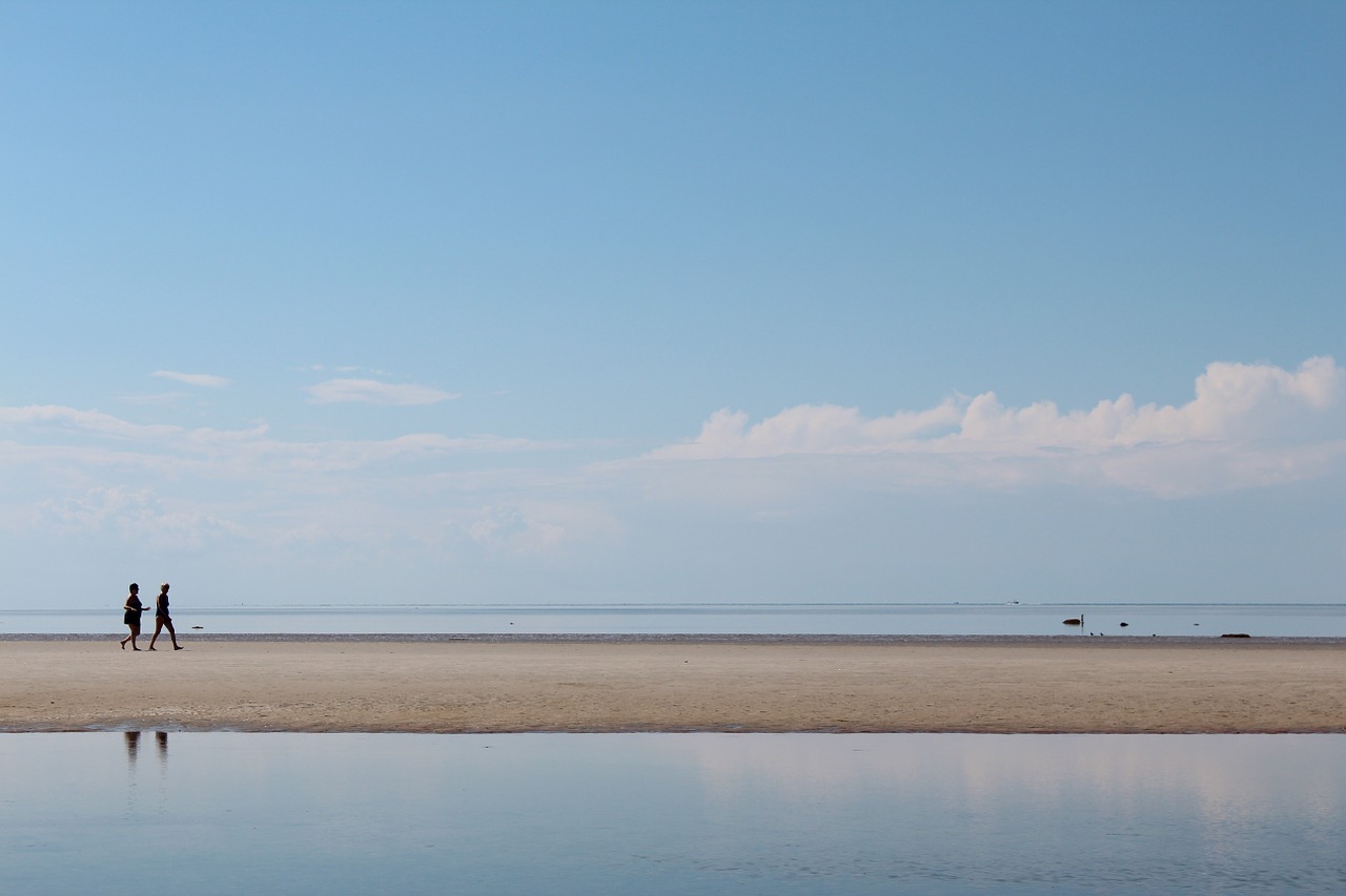 beach sand ocean free photo