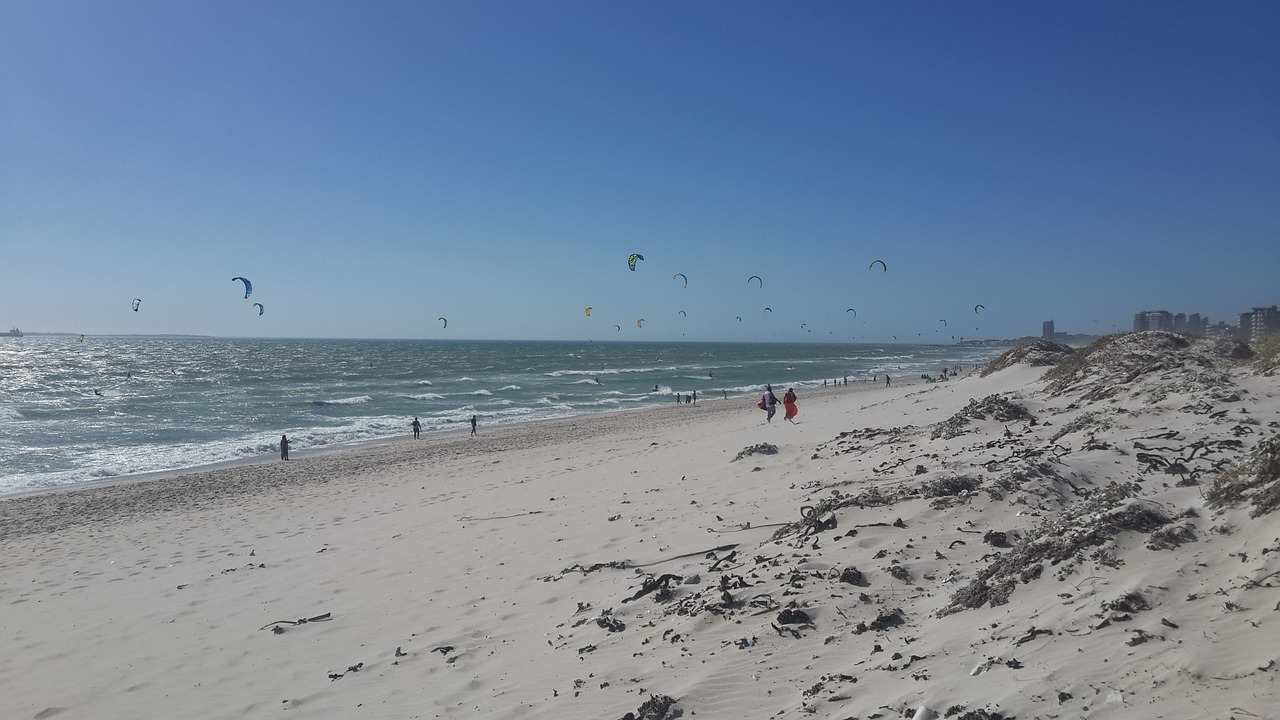 beach ocean kites free photo