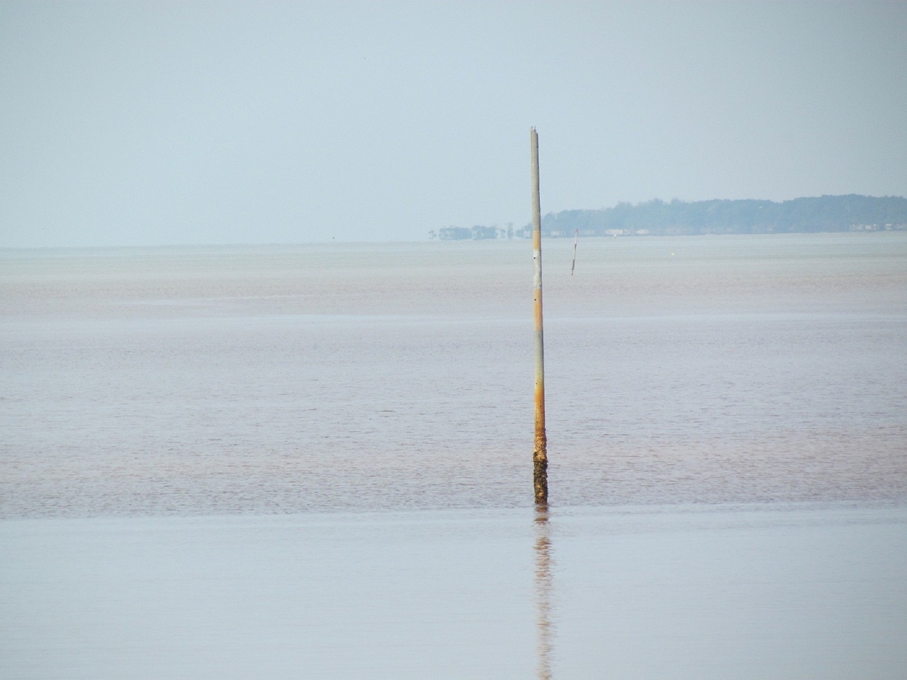 beach sea summer free photo