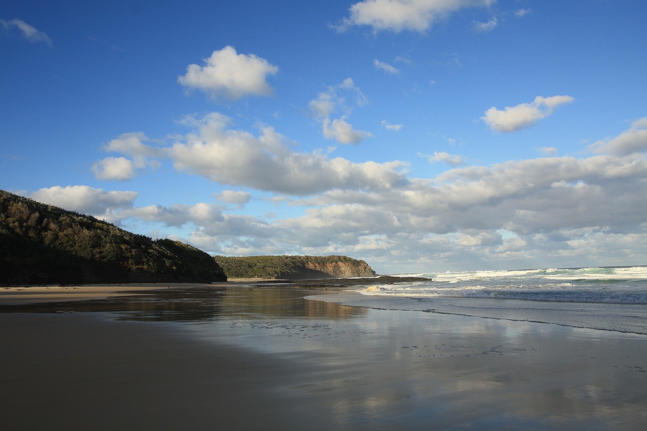 beach coast ocean free photo