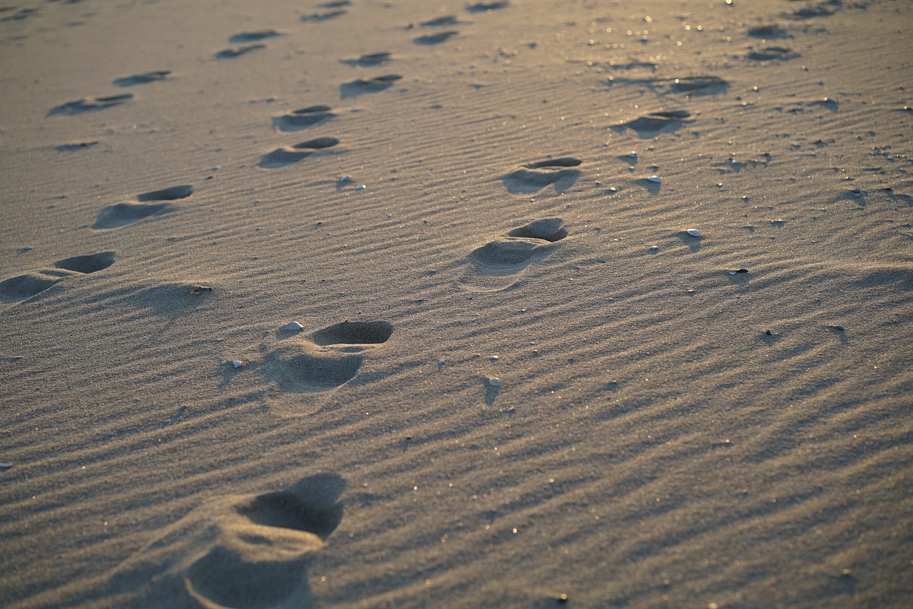 beach sea footprint free photo