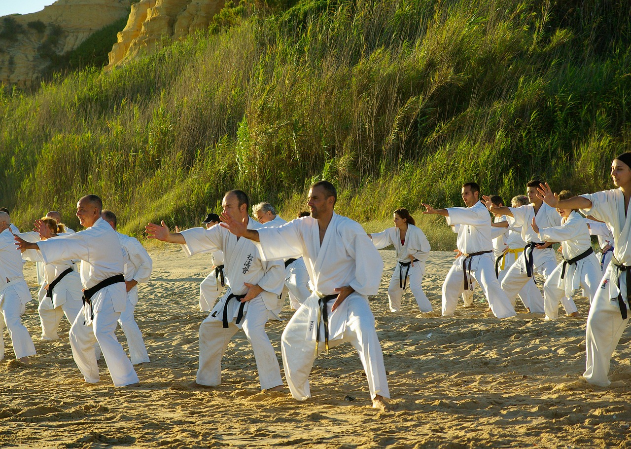 beach sports karate free photo