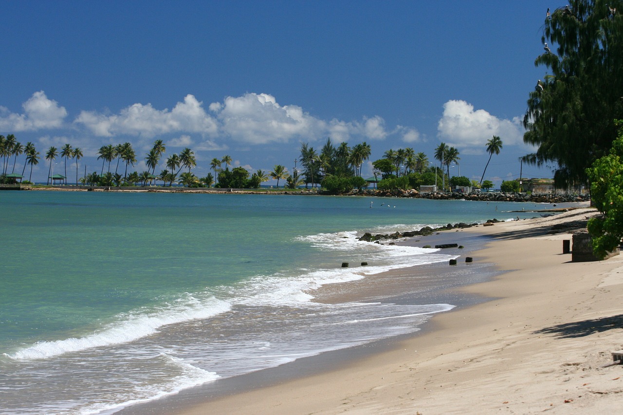 beach sand surf free photo