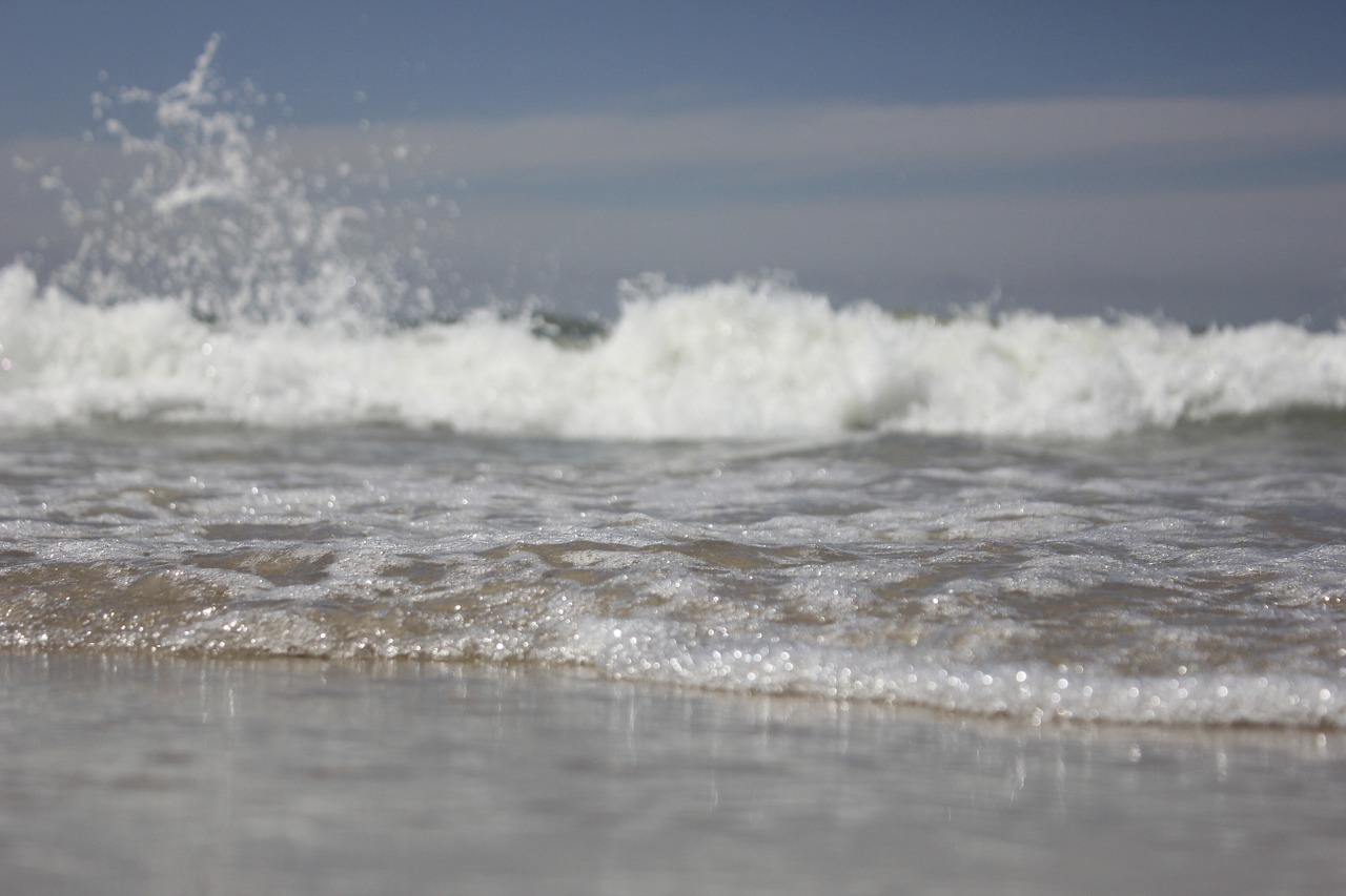 beach water wave free photo