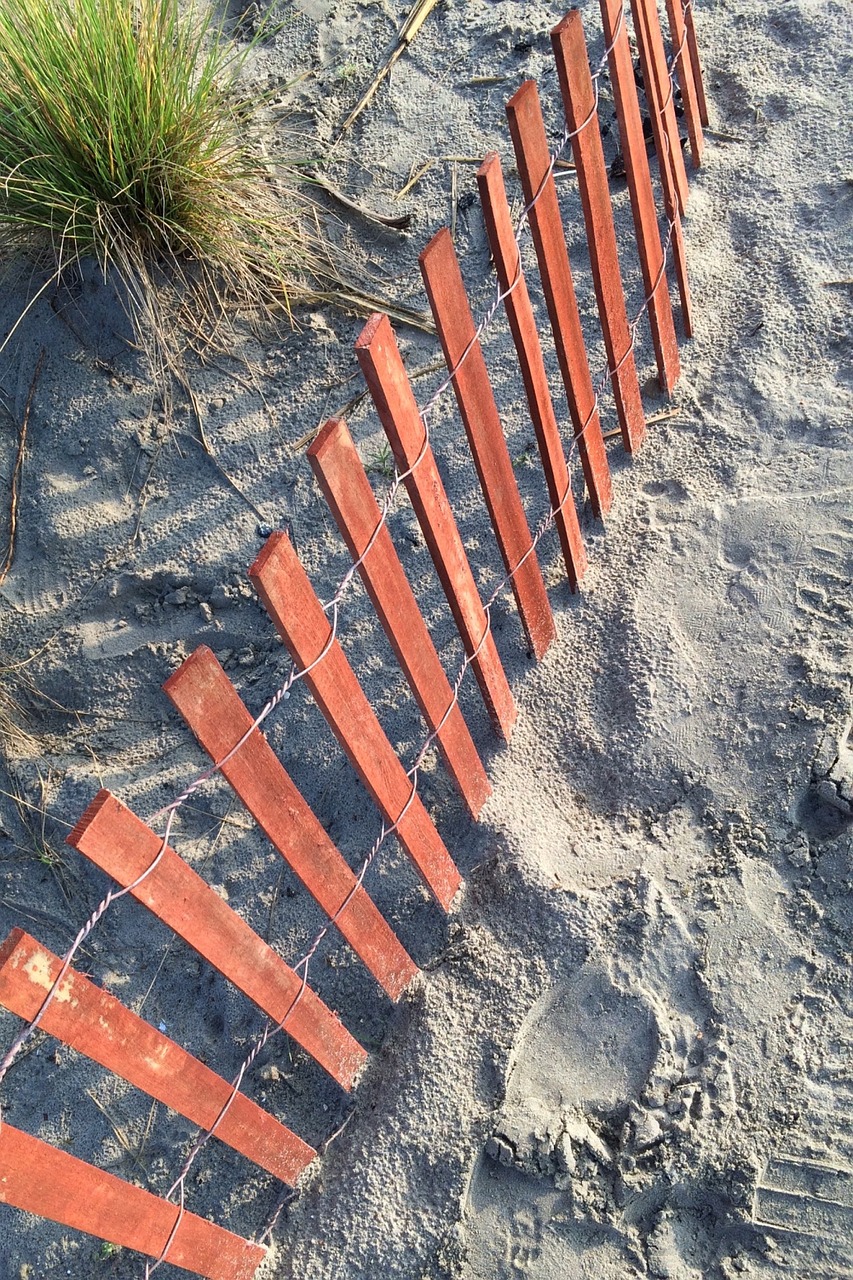 beach sand ocean free photo