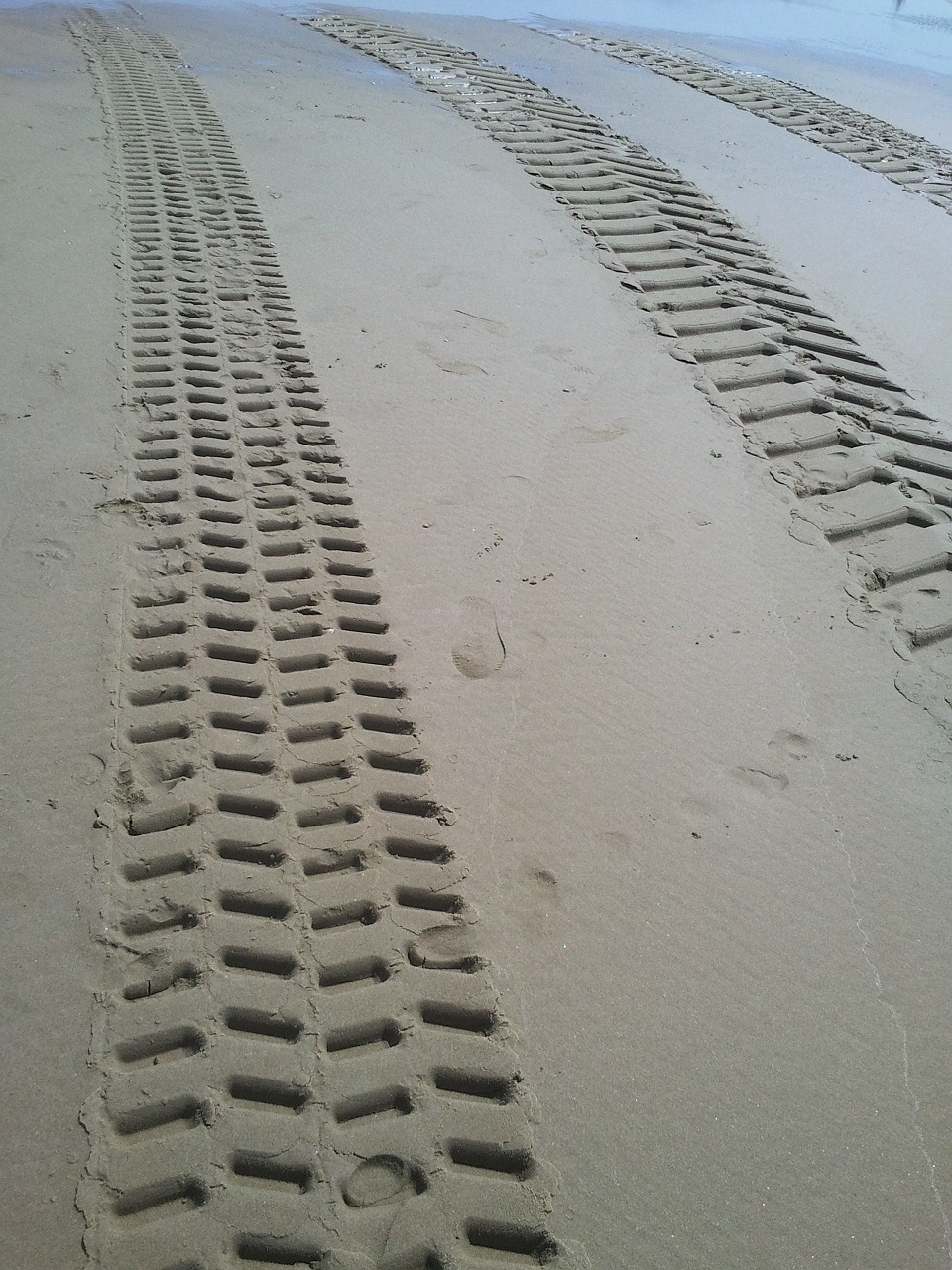 beach tire tracks traces free photo