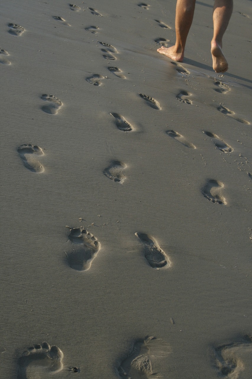 beach sea water free photo