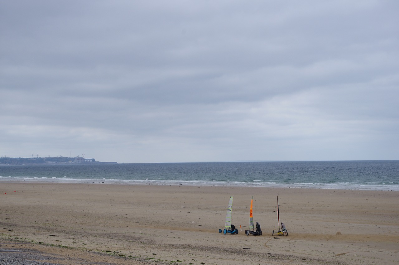 beach sea char sailboats free photo