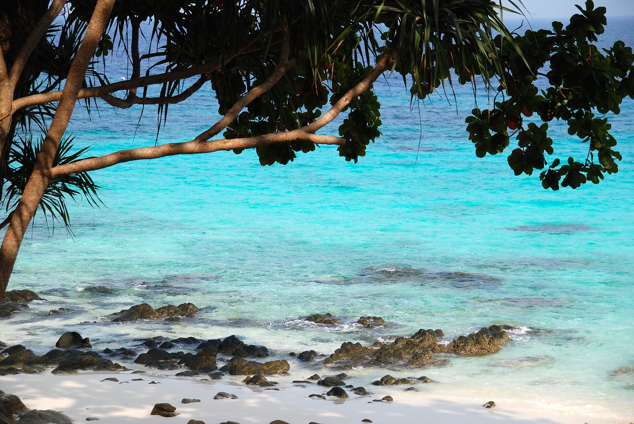 beach sea thailand free photo