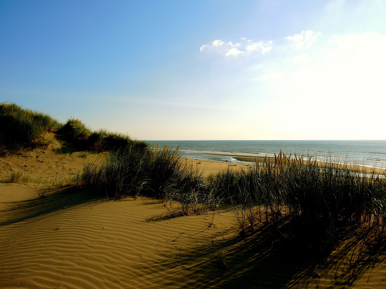 beach dunes sand free photo