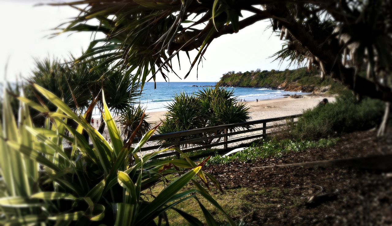 beach australia coolum free photo