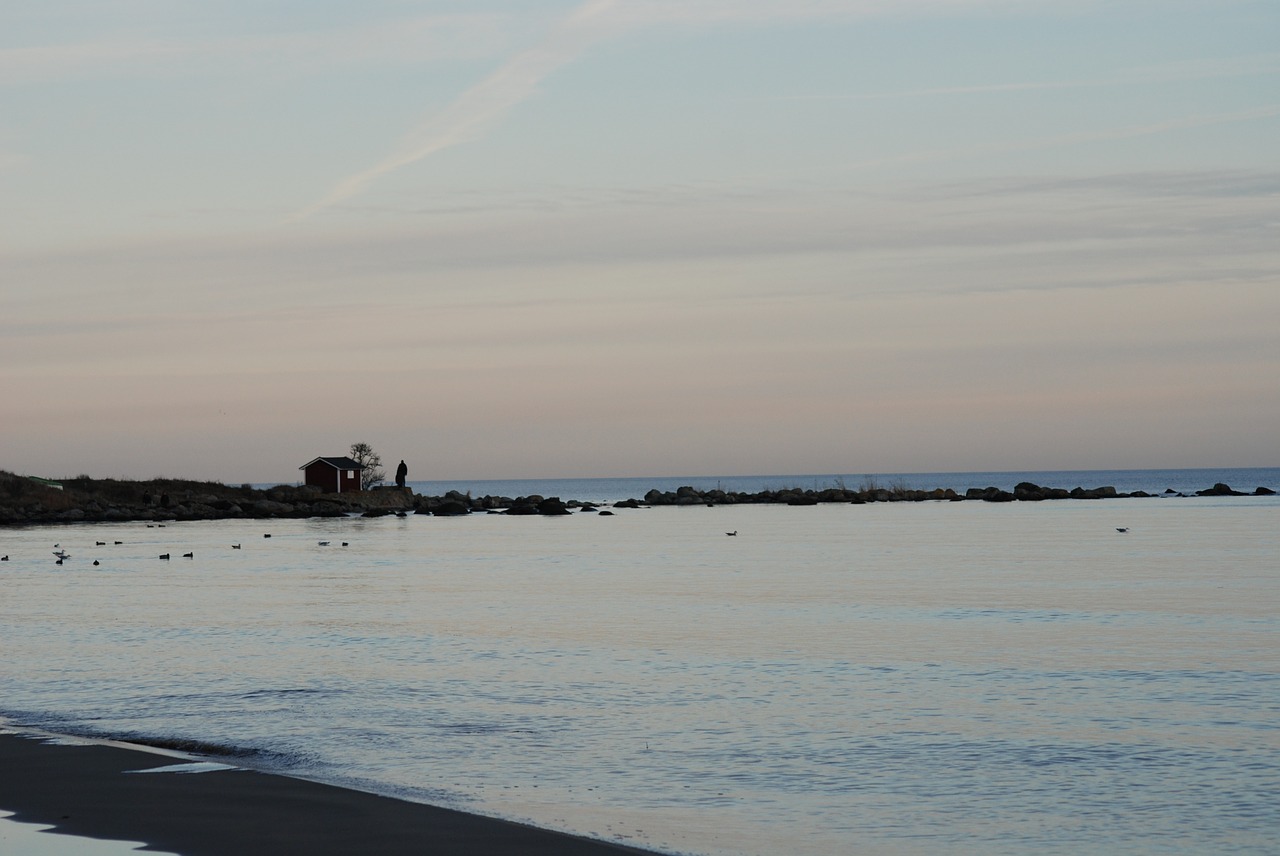 beach evening sea free photo