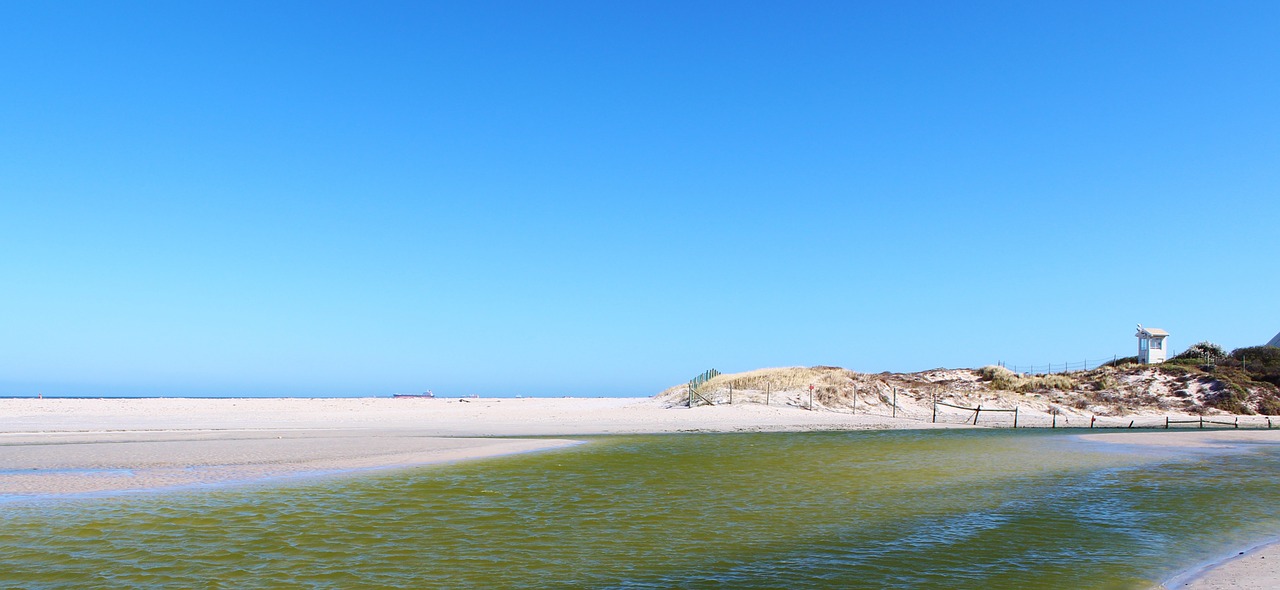 beach sand lagoon free photo