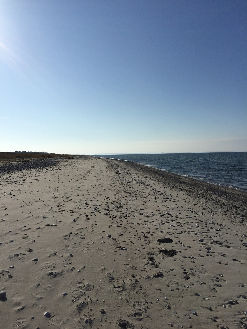 beach sea sand free photo