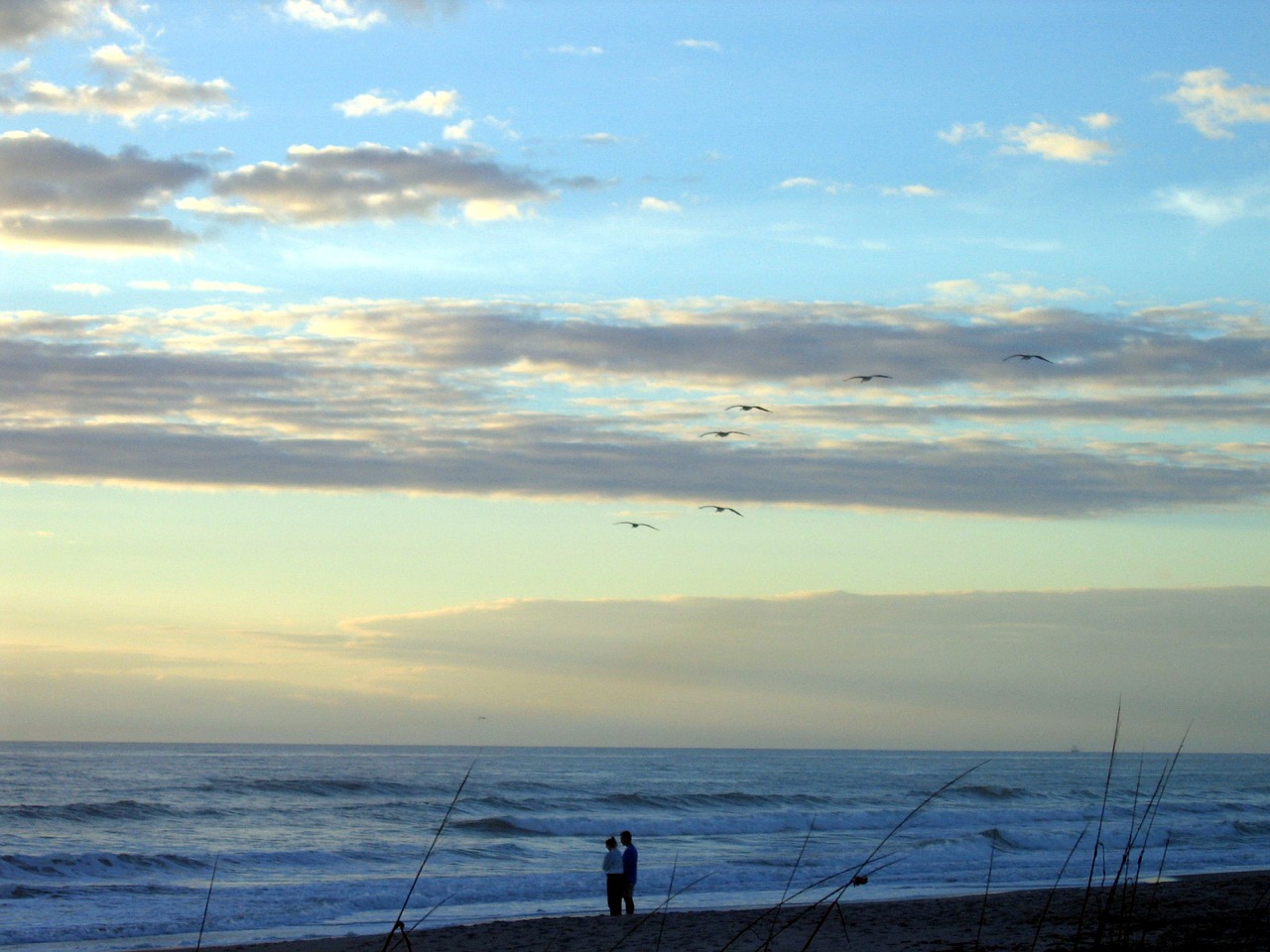 beach sky shore free photo