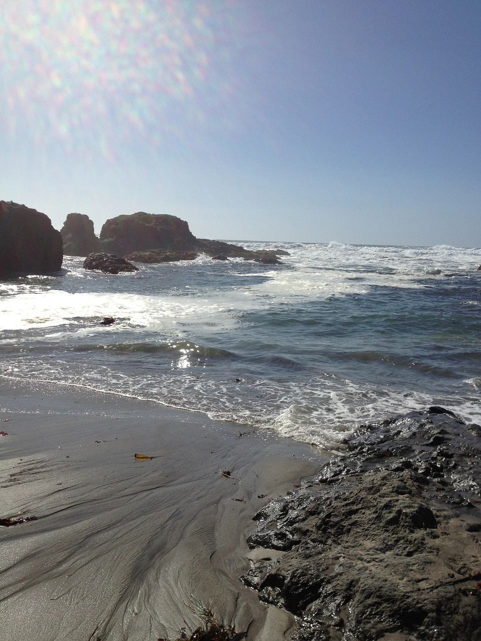 beach summer ocean free photo