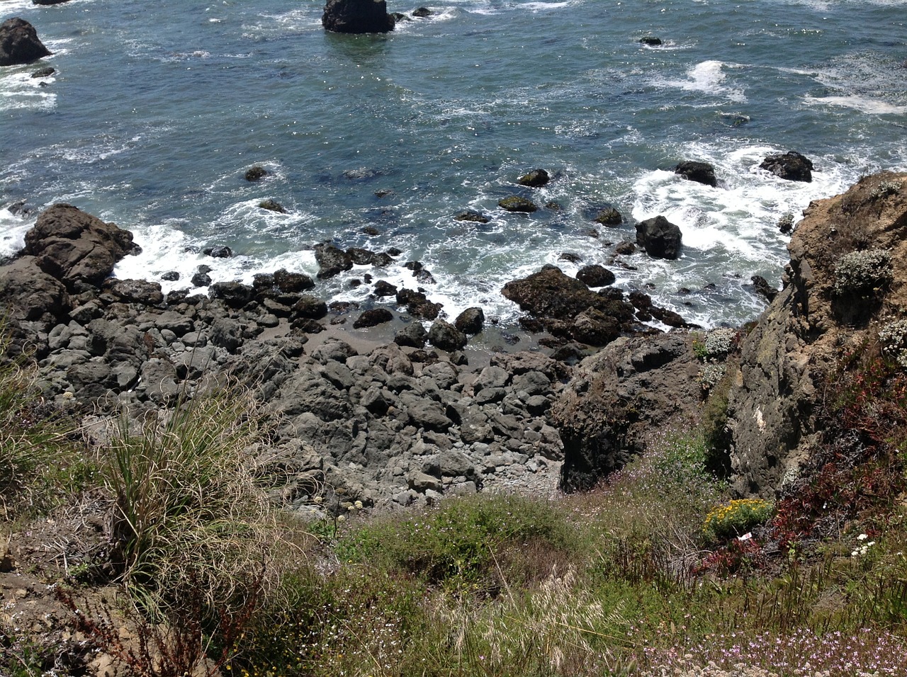 beach coastline ocean free photo