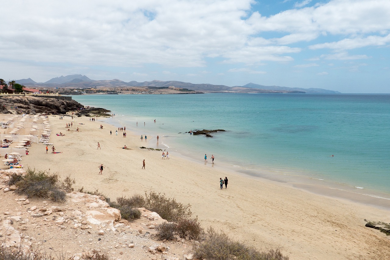 beach fuerteventura costa calma free photo