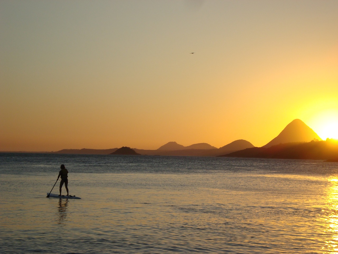 beach sunset brazil free photo