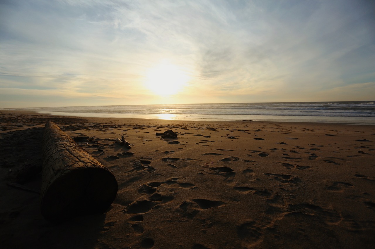 beach sand sunset free photo