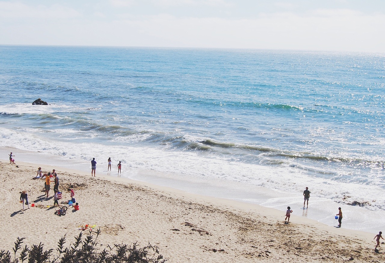 beach coast ocean free photo