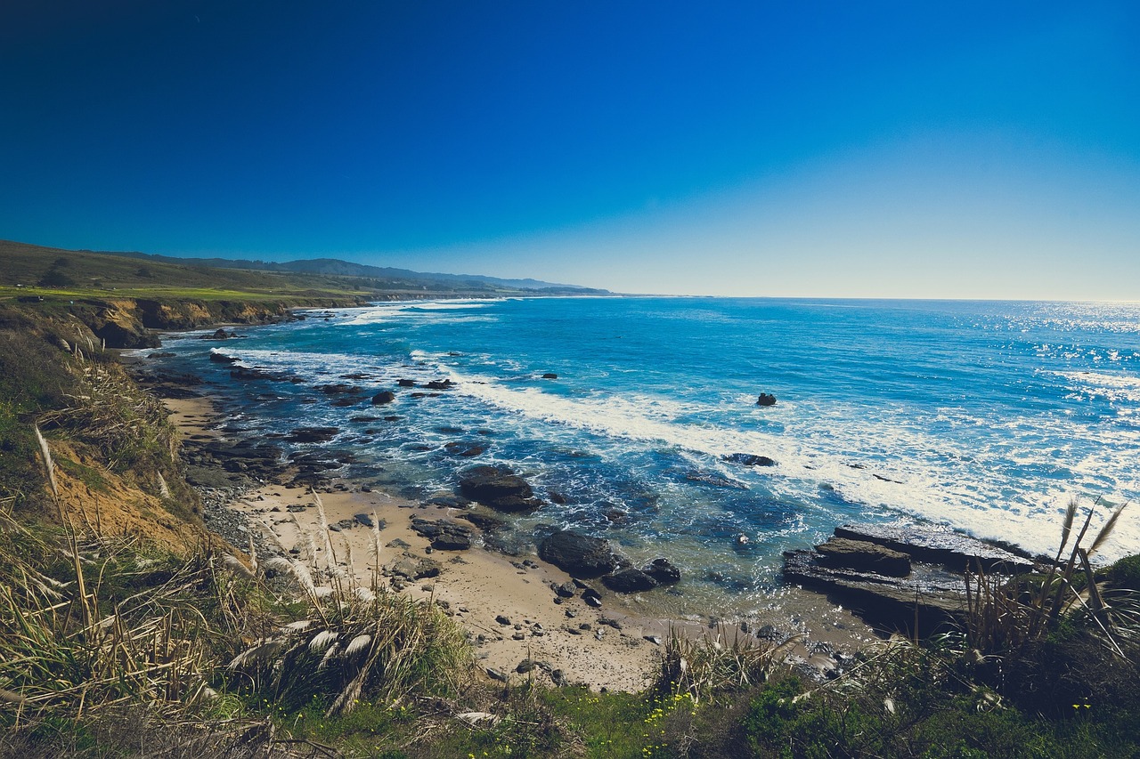 beach sand ocean free photo