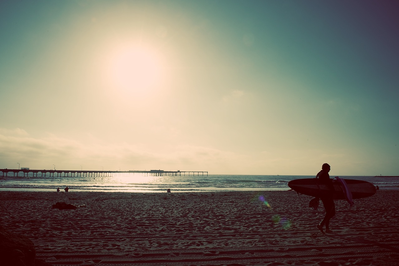 beach surfer ocean free photo