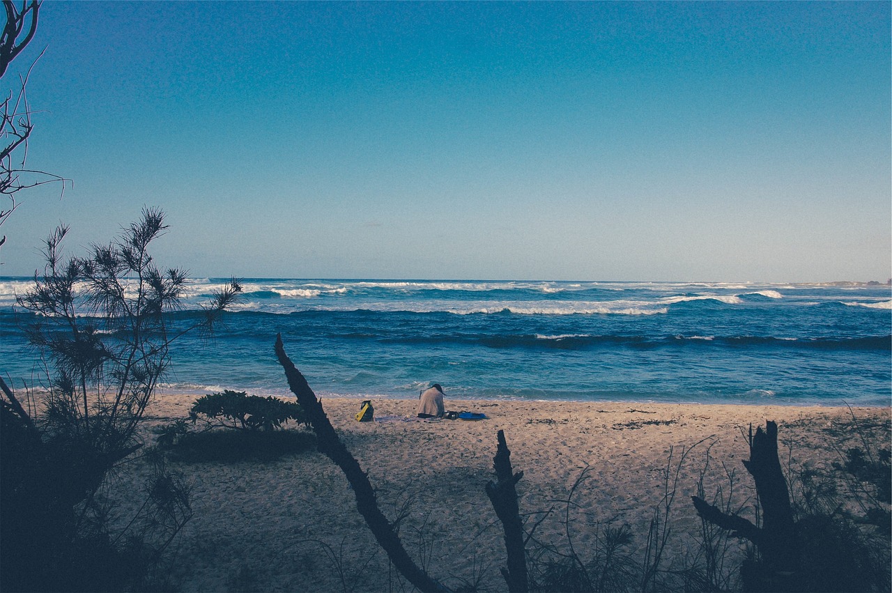 beach sand water free photo