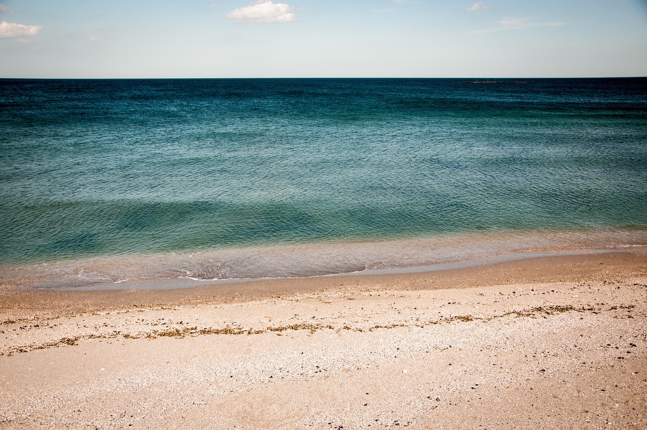 beach sand shore free photo