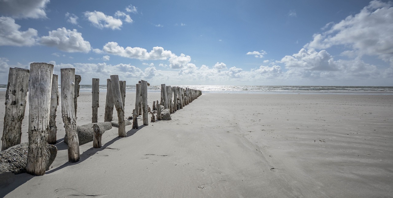 beach sand wood free photo