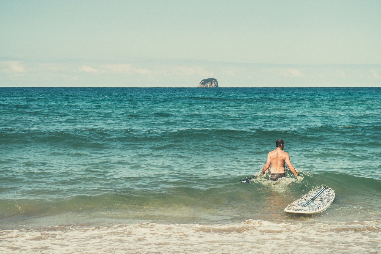 beach surfer ocean free photo