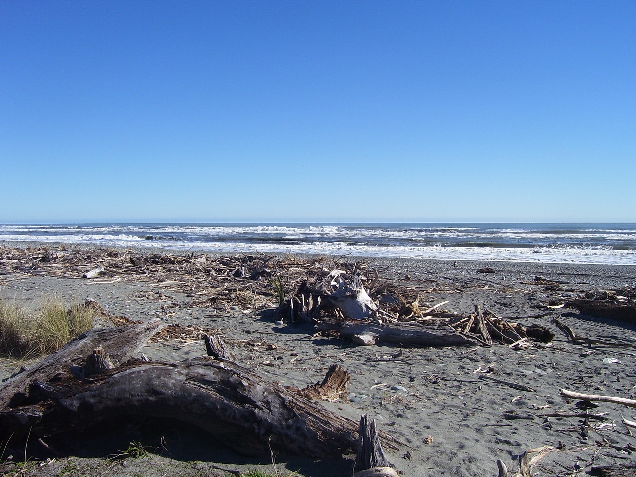 beach new zealand ocean free photo