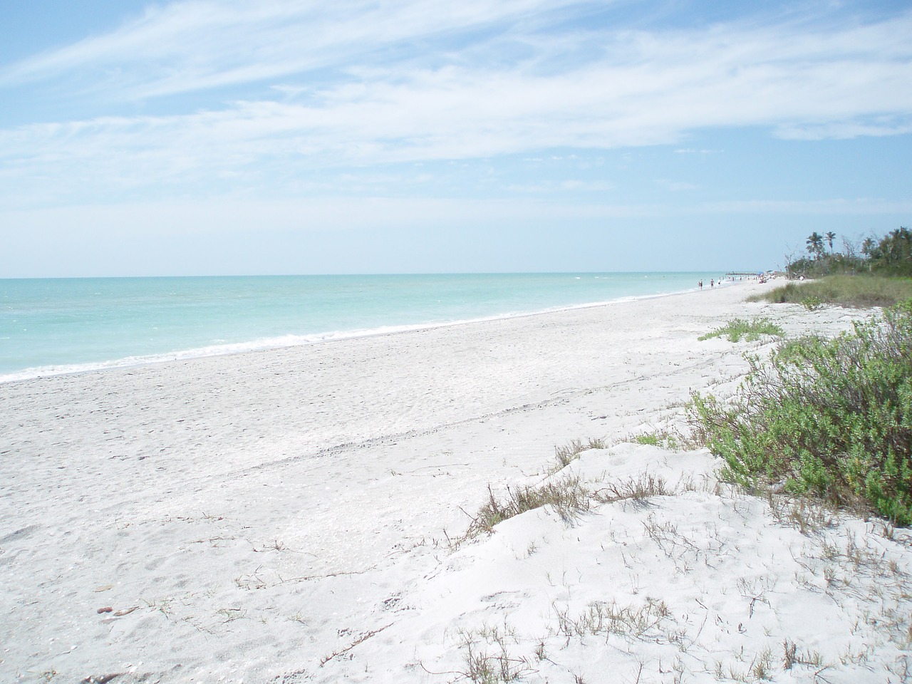 beach white sand free photo