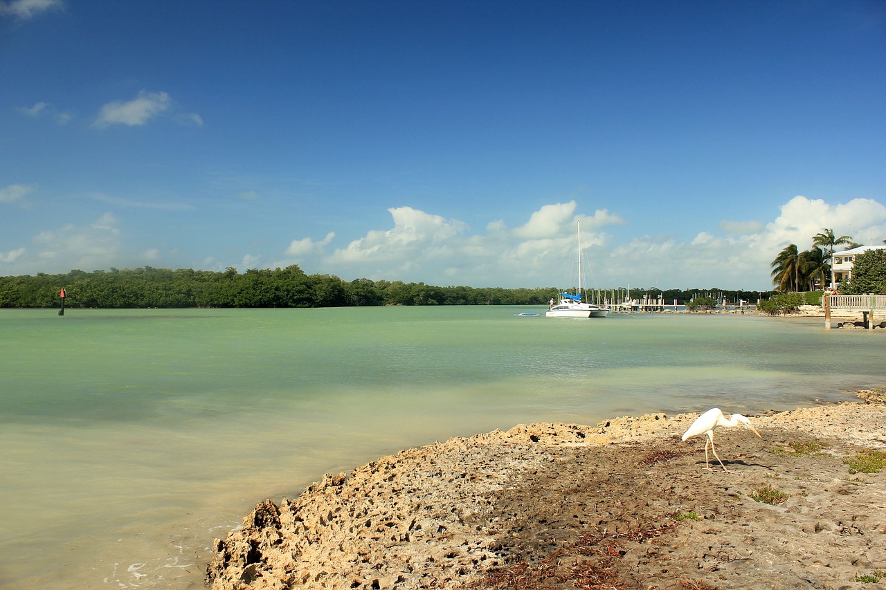 beach shoreline coast free photo