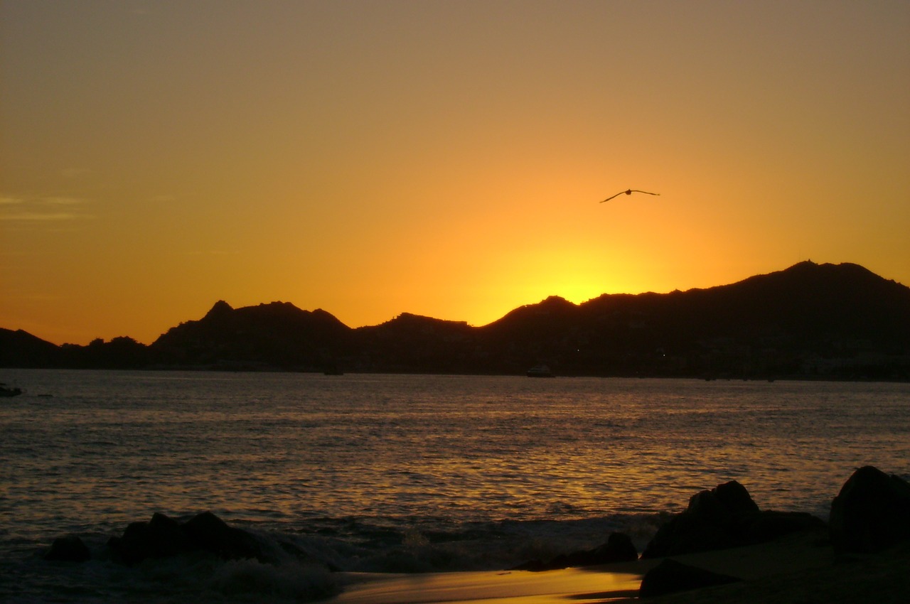 beach sunset silhouettes free photo