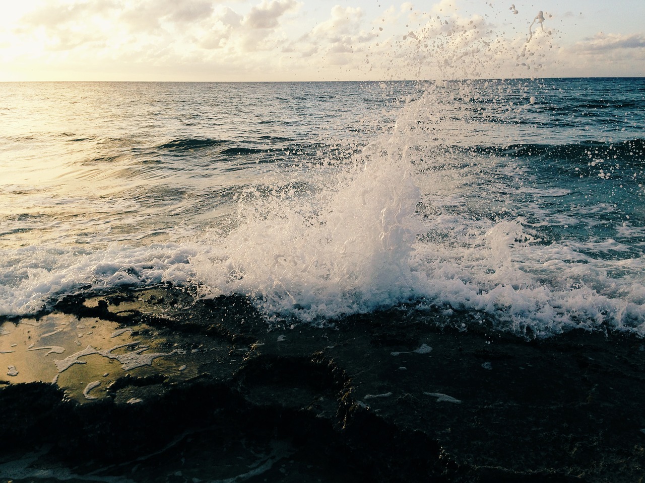 beach water ocean free photo