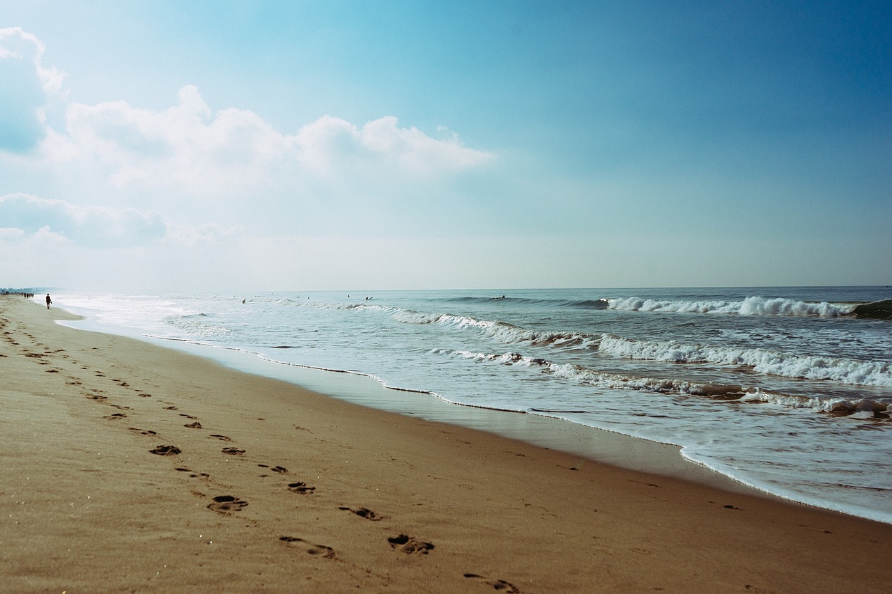 beach sand footprints free photo