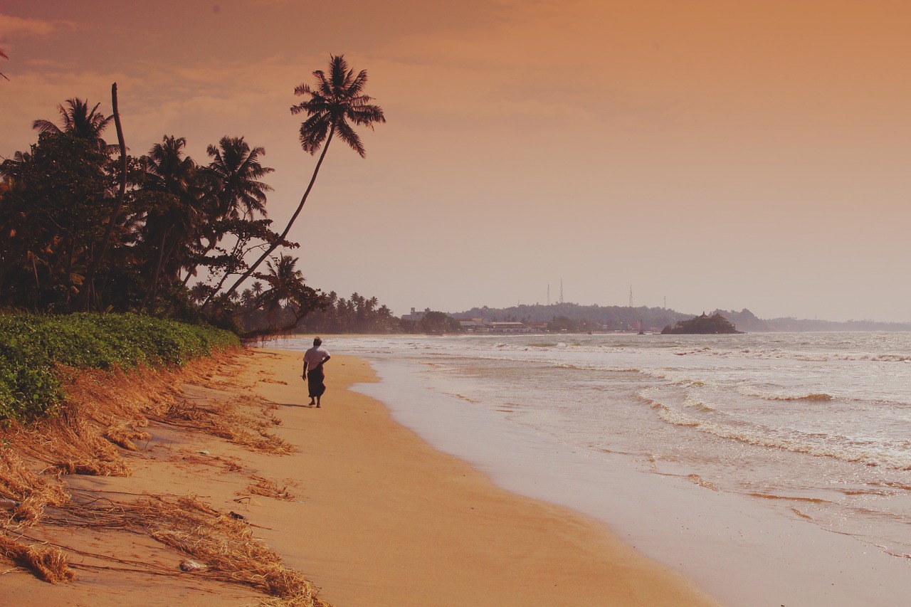 beach man alone free photo